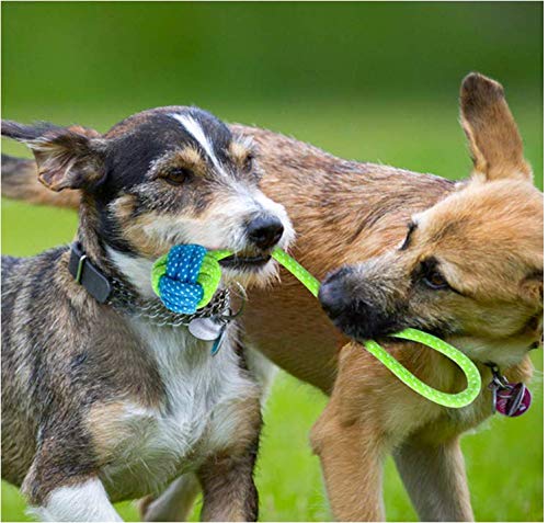 Anlising Toy Set Rope 7 Pcs Dog Chew Toy Puppy Molar Toy Various Styles of Dog Toy Tooth Cleaning Plush Rope Suitable for puppies, small dogs, medium-sized dogs - PawsPlanet Australia