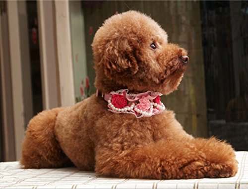 [Australia] - Bro'Bear PU Leather Adjustable Beaded Pet Necklace Dog Puppy & Cat Kitty Buckle Collar with 4 Strings of Pearls, Lace, Rhinestone & 4 Flowers for Small Animals Everyday Walking/Party/Holiday/Wedding/Birthday Accessories Pink Medium 