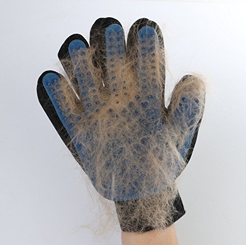 [Australia] - YUANNUO Pet Grooming Glove Pet Hair Remover Mitt Gentle Deshedding Brush Glove for Dogs,Cats,Horses,Livestock or Small Pets with Long & Short Fur Blue Right Hand 