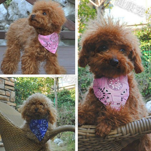 AKORD® Adjustable Bandanas for Dogs Puppy Pet Cat Products Collars Scarves Pet Accessories Small Pink - PawsPlanet Australia