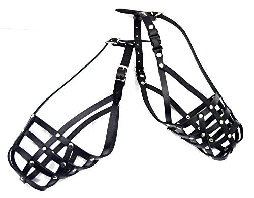 L&J Pets Uk Light Genuine leather Dog Muzzle for English Bull Terrier and other similar snout (Black Leather, BT0) (BT0-2) Black Leather - PawsPlanet Australia