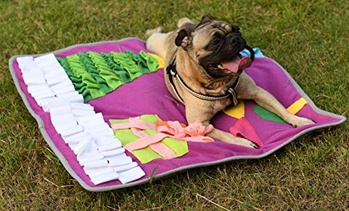 [Australia] - N/N Snuffle Mat Dog Nosework Blanket Durable Washable Feeding Mat Large(27.5’’ X 27.5’’) Great for Stress Release,Dogs Gift,Holiday/Brithday Gift 