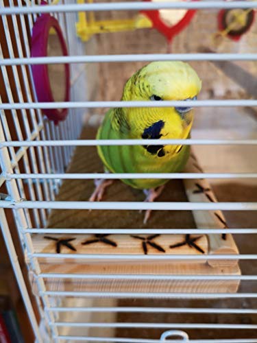 IW Designs Bird platform stand perch cage accessory - natural wood, dowling perimeter with burn in footstep pattern, bolt, washer and grit mat provided. An essential cage accessory! - PawsPlanet Australia