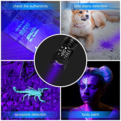 [Australia] - UV Flashlight with Batteries 2 Pack, 2 in 1 Black Light & Tactical Light Flashlight Mini Blacklight Urine Detector for Cats, Pet Stains, Bed Bugs, Scorpions 