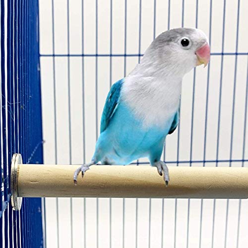 [Australia] - Bird Toys Parrot Swing Toys - 16 PCS Birds Parrot Toys Bird Cage Toys Bird Swing Toys Bird Swing Toys Chewing Toys with Bells Toys Handmade for Finches Small Parrots Parakeets Cockatiels Conures 