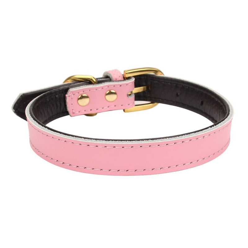 [Australia] - Mcdobexy Classic Soft Padded Leather Dog Collars or Leashes for Cats Puppy Small Medium Larger Dogs M (Neck11.5"-15") Pink 