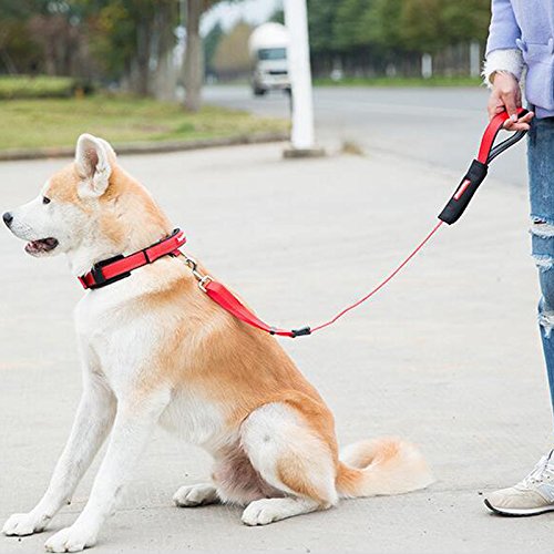 [Australia] - Creation Core 1 Set Adjustable Dog Seat Belt & Dog Collar with Elastic Handle Soft Padded Premium 2 in 1 Reflective Pet Leash S(neck girth 15-17") Blue 