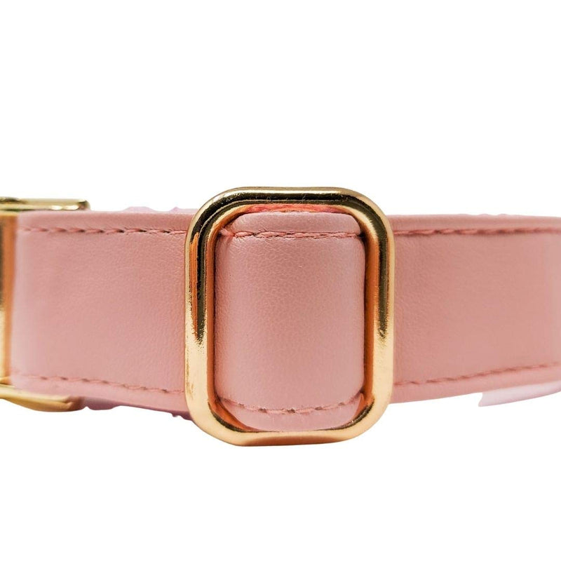 Animal Outfitters UK Limited Edition Gold Candy Collection Vegan | Faux Leather Pink and Gold Dog | Puppy Collar | Adjustable for Small or Large Dogs (Medium) - PawsPlanet Australia