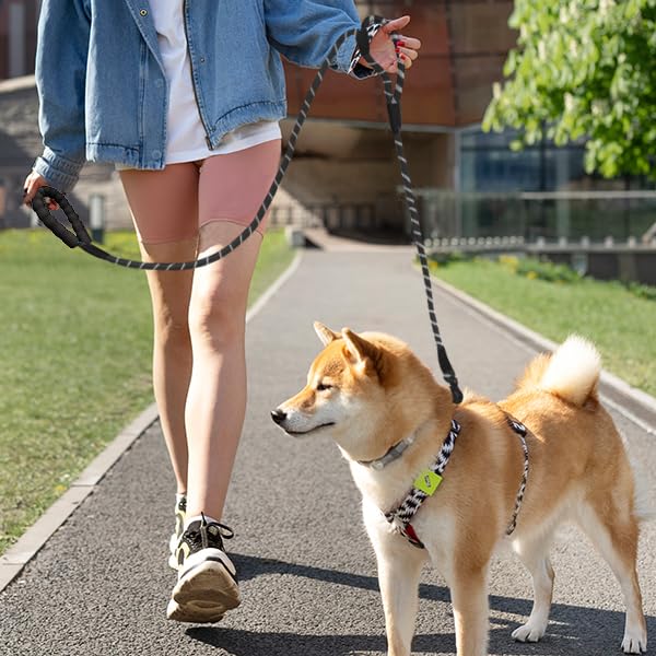 6FT Dog Leash Heavy Duty,Extra Foam Padded Two Handles,Lockable Metal Carabiner Clip,Highly Reflective Dog Leash for Safety,Dog Leashes for Medium & Large Dogs(Black) Black - PawsPlanet Australia