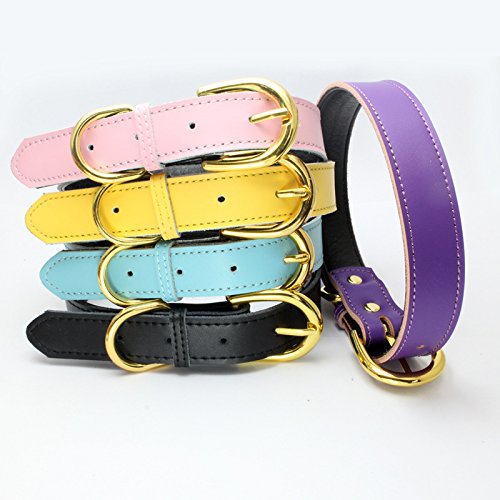 [Australia] - Mcdobexy Classic Soft Padded Leather Dog Collars or Leashes for Cats Puppy Small Medium Larger Dogs M (Neck11.5"-15") Pink 