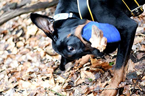 DINGO GEAR Dog Tug Ball Ø 16 cm Bite Training IGP K9 Fun Blue S02792 - PawsPlanet Australia