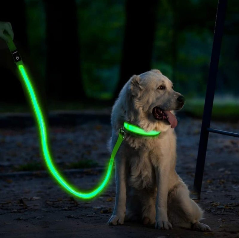 (Shared Products ) LED Dog Leash, Light Up Dog Leash, Micro USB Rechargeable, Waterproof, Nylon Webbing, Glow Safety Standard Dog Leash (Green with 2 Reflective Wires) - PawsPlanet Australia