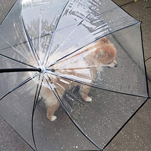 LESYPET Pet Umbrella, Dog Umbrella with Leash Folding Assembled Puppy Doggy Umbrella (Transparent) Gen-1 - PawsPlanet Australia