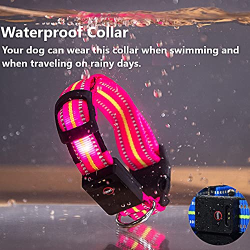 LKJYBG LED Dog Collar,USB Rechargeable and Reflective Light Up Dog Collar with Waterproof ,Flashing Dog Collar Makes Your Dog Visible,Suitable for Small,Medium and Large Dog Blue L - PawsPlanet Australia