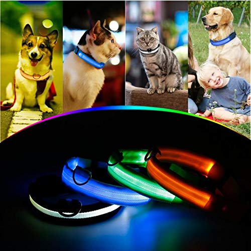 LED Dog/Cat Collar Flashing Light Up Collar 100% Waterproof Safety Adjustable Pets Collar Increased Visibility Super Bright for Small Medium Large Dog L (41cm-52cm), Blue L (41cm-52cm) - PawsPlanet Australia