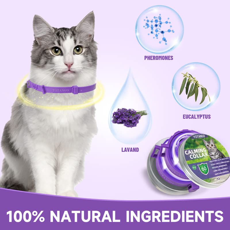 Calming Collar for Cats, Soothing Collar with Pheromones Adjustable Waterproof Calming Collar for Cats with 60 Day Effect for Kittens Medium Large Cats Purple 2 Pieces Purple-2 Pieces - PawsPlanet Australia