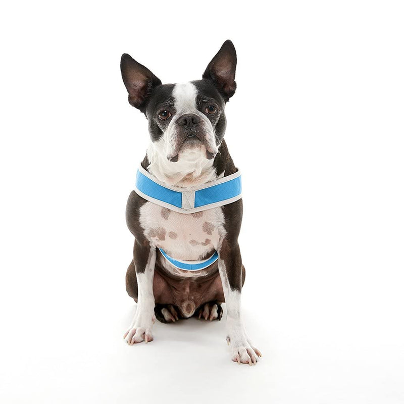 Gooby Simple Step In III Harness - No Pull Small Dog Harness with Scratch Resistant Outer Vest - On the Go Soft Inner Mesh Dog Harness for Medium Dogs No Pull and Small Dogs for Indoor and Outdoor Use Small chest (14.25∼17") Blue - PawsPlanet Australia