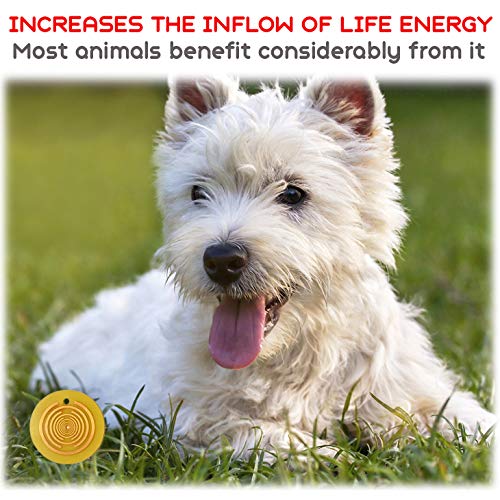 Polarix© for Animals - Pain Relief Disc | Dog Joint Supplement Alternative Medicine | Instant Natural Healing for Dogs Cats Horses & Pets | Chakra Healing Disc Isn`t Dog Toy But Can Become | fi 36 mm - PawsPlanet Australia