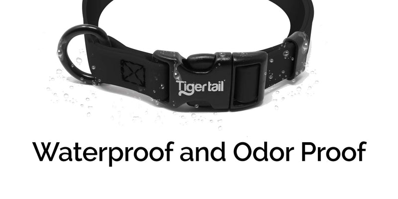 [Australia] - Tiger Tail Urban Nomad Dog Collar – Lightweight Waterproof & Odor Proof Dog Collar Medium (14" - 22") Teal 