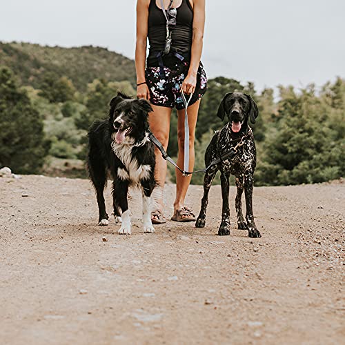 Mighty Paw Double Dog Leash, Two Dog Adjustable Length Dog Lead, Premium Quality No-Tangle Leash for 2 Dogs No Handle Lite | Dogs < 30lbs - PawsPlanet Australia