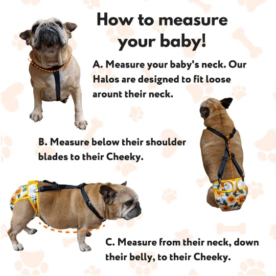 ARCM Pets Halos Pet & Dog Suspenders | Guaranteed No Choke & No Escaping | Ideal To Keep Pet & Dog Diapers On Small - PawsPlanet Australia
