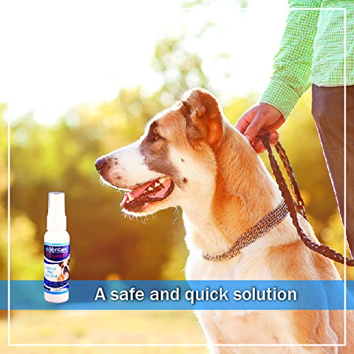 KeriCure 2 oz Tough Seal Pet Liquid Bandage - PawsPlanet Australia