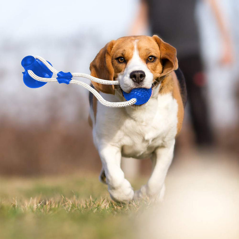 Suction Cup Dog Toy, Multifunction Pet Molar Bite Toy with Strong Rope and Powerful Suction Cup for Tug and Chewing, Helps Clean Teeth Blue - PawsPlanet Australia