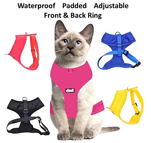 [Australia] - Dexil Color Coded Cat Harness Warning Alert Vest Padded and Water Resistant Yellow Adopt ME (L-XL) 