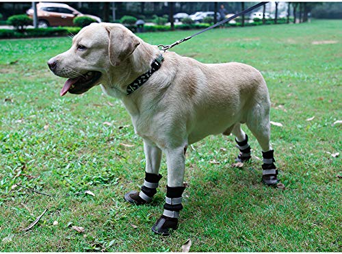 TopDirect Protective Dog Boots, Set of 4 Waterproof Dog Shoes Dog Booties with Reflective Leather and Rugged Anti-Slip Sole, Outdoor Indoor Dog Socks for Medium Large Dogs, XL - PawsPlanet Australia