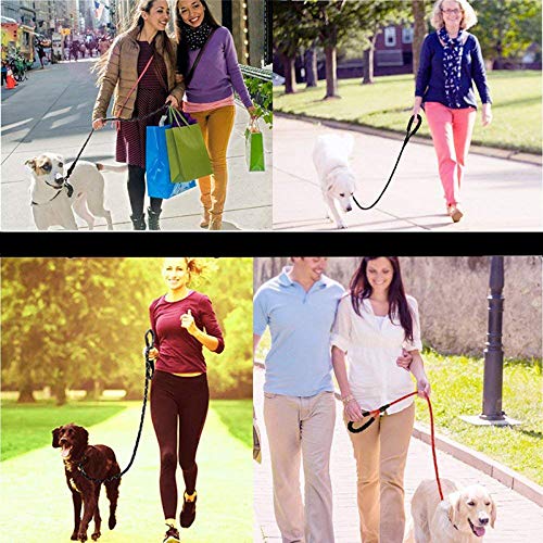 [Australia] - YuanMoon 5 FT Strong Dog Leash with Highly Reflective Threads and Soft Comfortable Padded Handle Nylon Dog Leashes for Medium and Large Dog Blue 