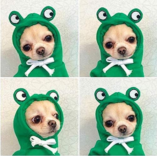 Funny Frog Dog Hoodie, Dog Sweater Cute Apple Banana Frog Warm Jacket for Pet Fashion Cold Weather Outfit for Small Medium Puppy Cats Green S - PawsPlanet Australia