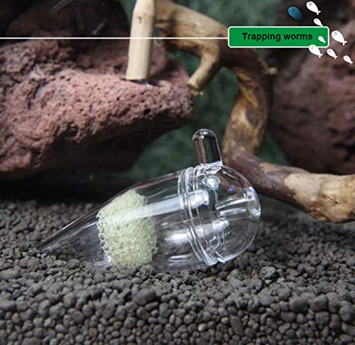 [Australia] - MiguCo Acrylic Aquarium Feeder Planaria Leech Trap Turbellarian Worm Catcher 