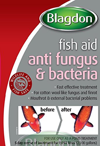 Blagdon Anti-Fungus & Bacteria Treatment for All Pond Fish, Finrot, Mouthrot, External Bacterial Infections, 1 Litre 1 l (Pack of 1) - PawsPlanet Australia