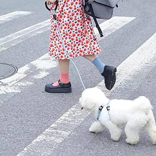 Custom Adjustable Pet Dog Leash and Harness Set No Pull No Choke Breathable Dog Chest Strap for Small & Medium Blue - PawsPlanet Australia