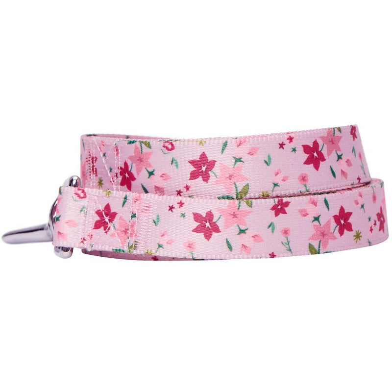 Umi. Essential Durable Made Well Floral Dog Lead 120 cm x 2.5cm in Pink, Large, Leads for Dogs - PawsPlanet Australia