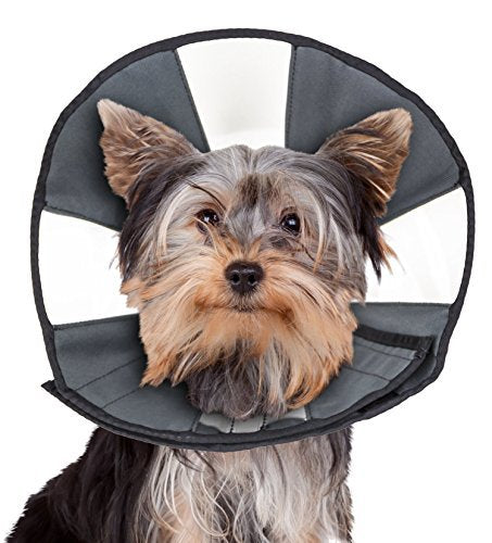 ZenPet Pet Recovery Cone E-Collar for Dogs and Cats - Always Use with Your Pet's Everyday Collar - Comfortable Soft Collar is Adjustable for a Secure and Custom Fit Small Grey - PawsPlanet Australia