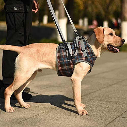 ROZKITCH Dog Lift Harness, Grid Pet Chest Support Aid Veterinarian Approved Sling for Old K9 Help with Poor Stability, Front Legs Disabled Joint Injury Elderly Arthritis ACL Rehabilitation Rehab Small Chest-Blue - PawsPlanet Australia