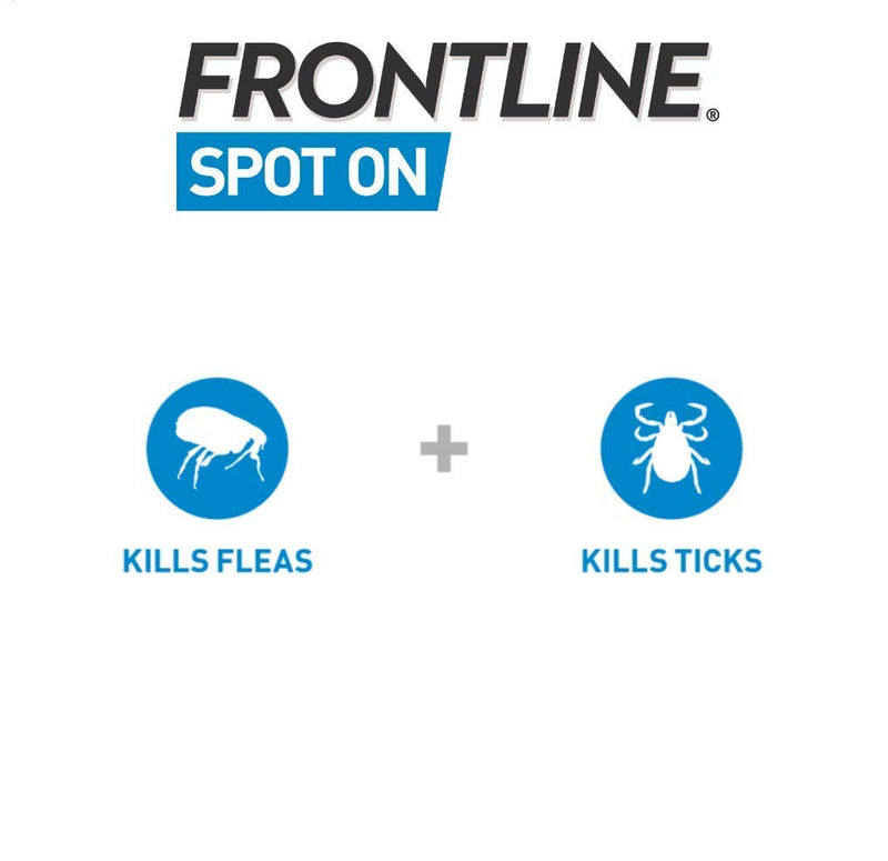 FRONTLINE Spot On Flea & Tick Treatment for Large Dogs (20-40 kg) - 6 Pipettes & Spot On Flea & Tick Treatment for Medium Dogs, Pack of 6 - PawsPlanet Australia