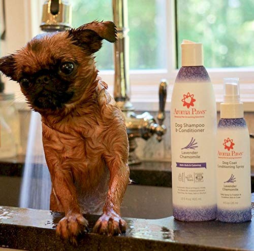 [Australia] - Aroma Paws Dog Shampoo – Cleansing Wash, Conditioning, Moisturizing – Toxin Free, Healthy Ingredients – Aromatic Grooming Puppy Shampoo – Tearless Cleaner, 13.5oz Lavender Chamomile 