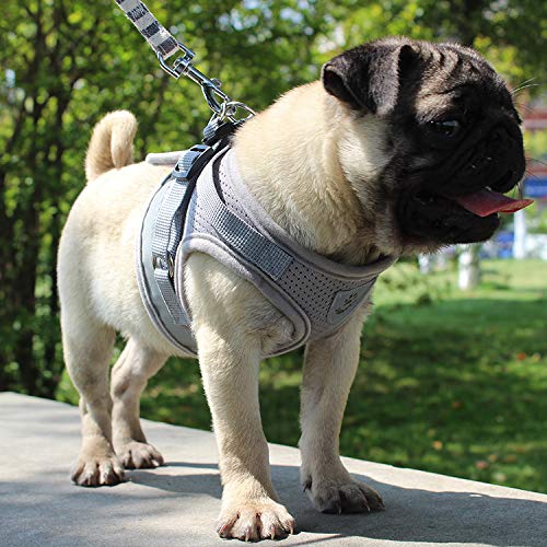 CINSKY Dog Harnesses and Leash for Small Dogs,Nylon Mesh Reflective Cat Harness Leash Set Kitten Puppy Dogs Vest Leads Pet Clothes (M, Black) M - PawsPlanet Australia