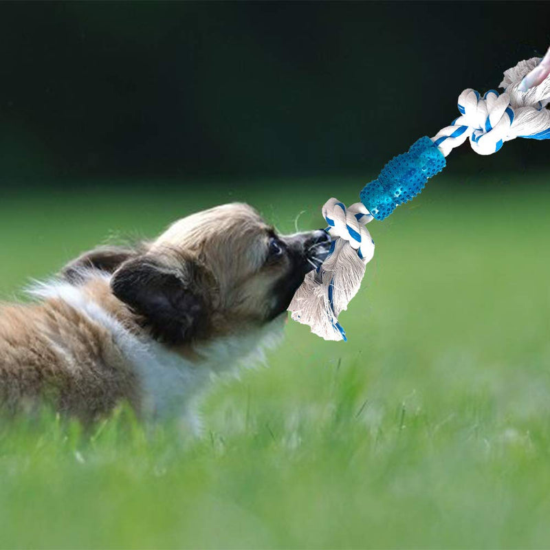 Dog Chew Toy with Twisted Rope - White and Blue Tug of War Strong Knotted Rope - Perfect for Chewing and Teething - MAINTAINS ORAL HYGIENE – WITH BUILT IN BLUE GUM MASSAGER - PawsPlanet Australia