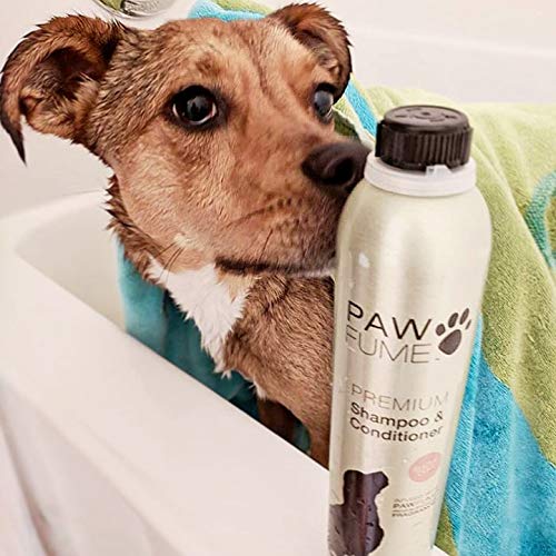 [Australia] - Pawfume Premium Shampoo and Conditioner - 12oz Show Dog 