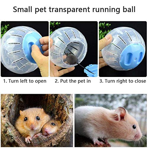 JUILE YUAN Silent Hamster Mini Running Activity Exercise Ball 4.72 inch Toy Transparent Hamster Ball Dog Special Toy Ball Small Animals Cage Accessories Blue - PawsPlanet Australia