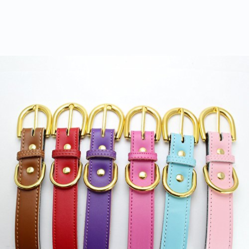 [Australia] - Mcdobexy Classic Soft Padded Leather Dog Collars or Leashes for Cats Puppy Small Medium Larger Dogs M (Neck11.5"-15") Pink 