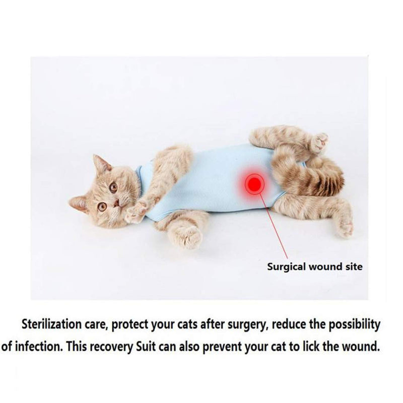 VICTORIE Cat Professional Recovery Suit Surgery Recovery Wear Operation Home Clothing Abdominal Wounds Skin Diseases for Puppy Cats Small Dogs Blue S - PawsPlanet Australia