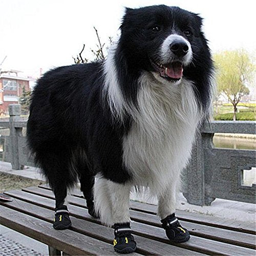 QUMY Dog Boots Waterproof Shoes for Dogs with Reflective Strape Rugged Anti-Slip Sole Black 4PCS (size 6: 2.9"x2.5"(L*W), Black-b) size 6: 2.9"x2.5"(L*W) - PawsPlanet Australia