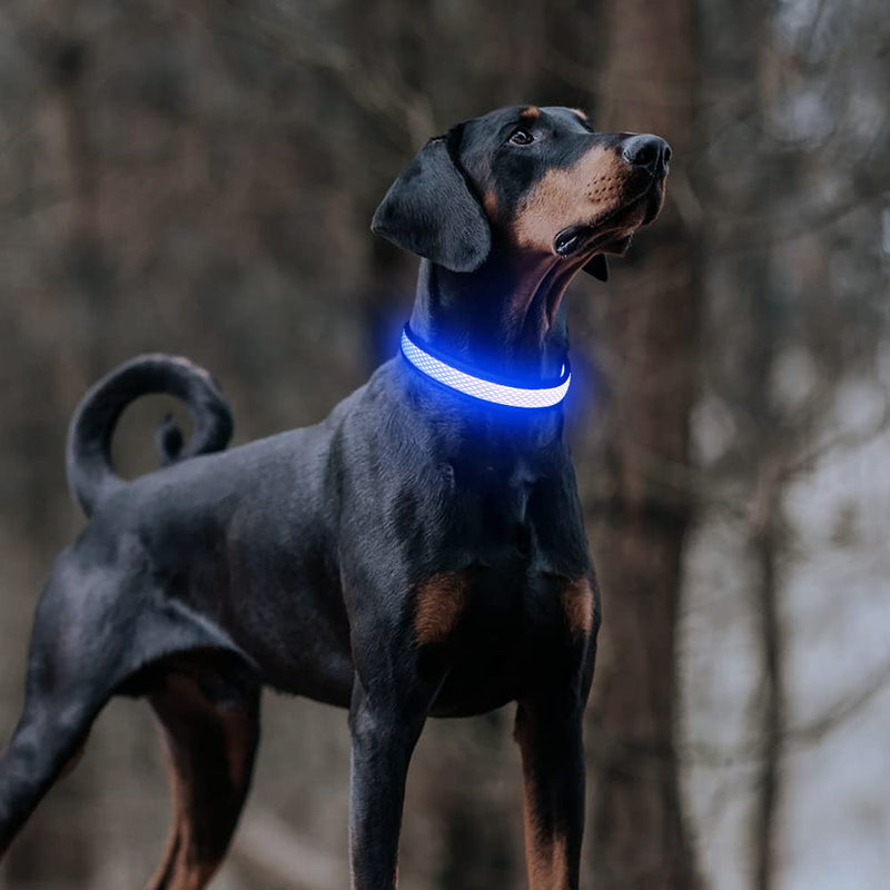 Bpawser Light Up Dog Collars LED Dog Collar Rechargeable Adjustable Size MESH Webbing Glow Collar for Large Medium Dogs Medium[13.39-19.69 inch/34-50 cm] Blue - PawsPlanet Australia