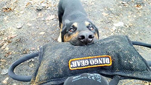 DINGO GEAR Reinforced Bite Pillow Handmade Strong Wedge with 3 Handles for Dog Bite Training Nylcot, Black S00522 - PawsPlanet Australia