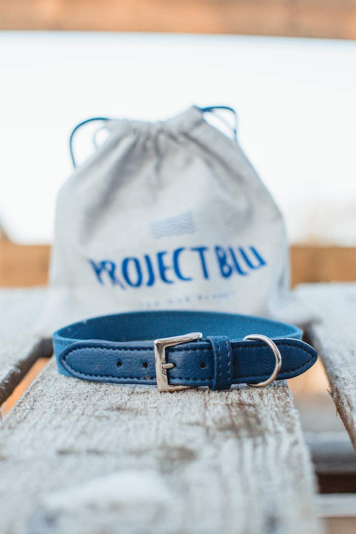 Project Blu Eco Friendly E-Leather Dog Collar, Sustainable and Recycled Pet Collar (Small, Monterey) Small - PawsPlanet Australia