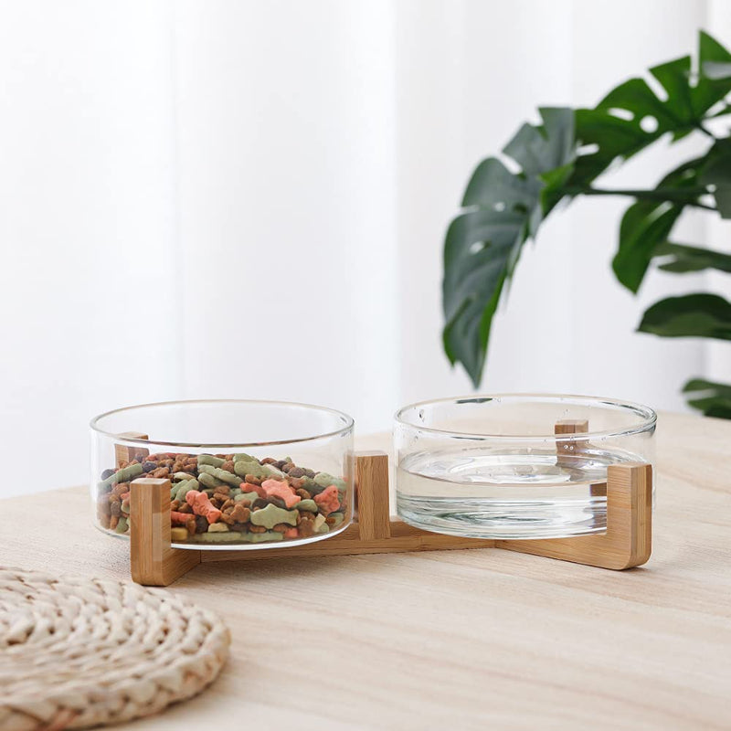Glass Dog Bowl Set - Cat Dog Bowls with Non Slip Wood Stand - No Spill Double Pet Dish for Food Water Feeding (2 Cup- Suitable for cat and small dog) Glass×2 - PawsPlanet Australia
